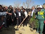 در مراسم گرامیداشت هفته درختکاری عنوان شد؛ هر شهروند ارومیه ای، یک درخت